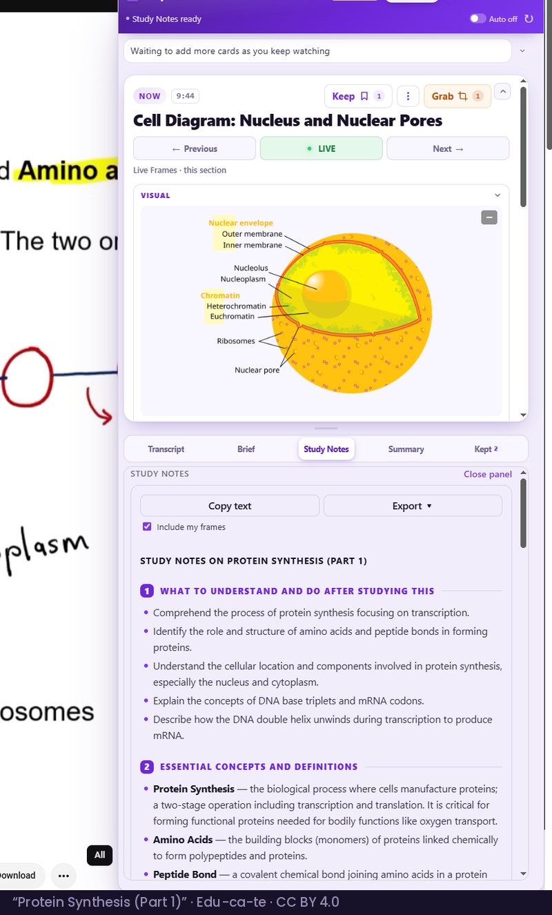 The Keepframe panel with Study Notes open beside a biology lesson, the card above them illustrated with a diagram of the cell nucleus