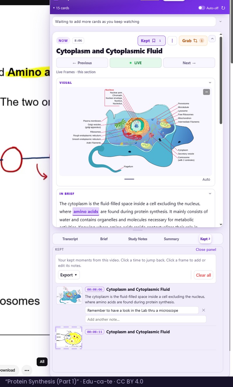 A biology lesson with a dashed box drawn around the cell diagram on screen and the same frame already saved as a Snapshot in the Keepframe panel beside it