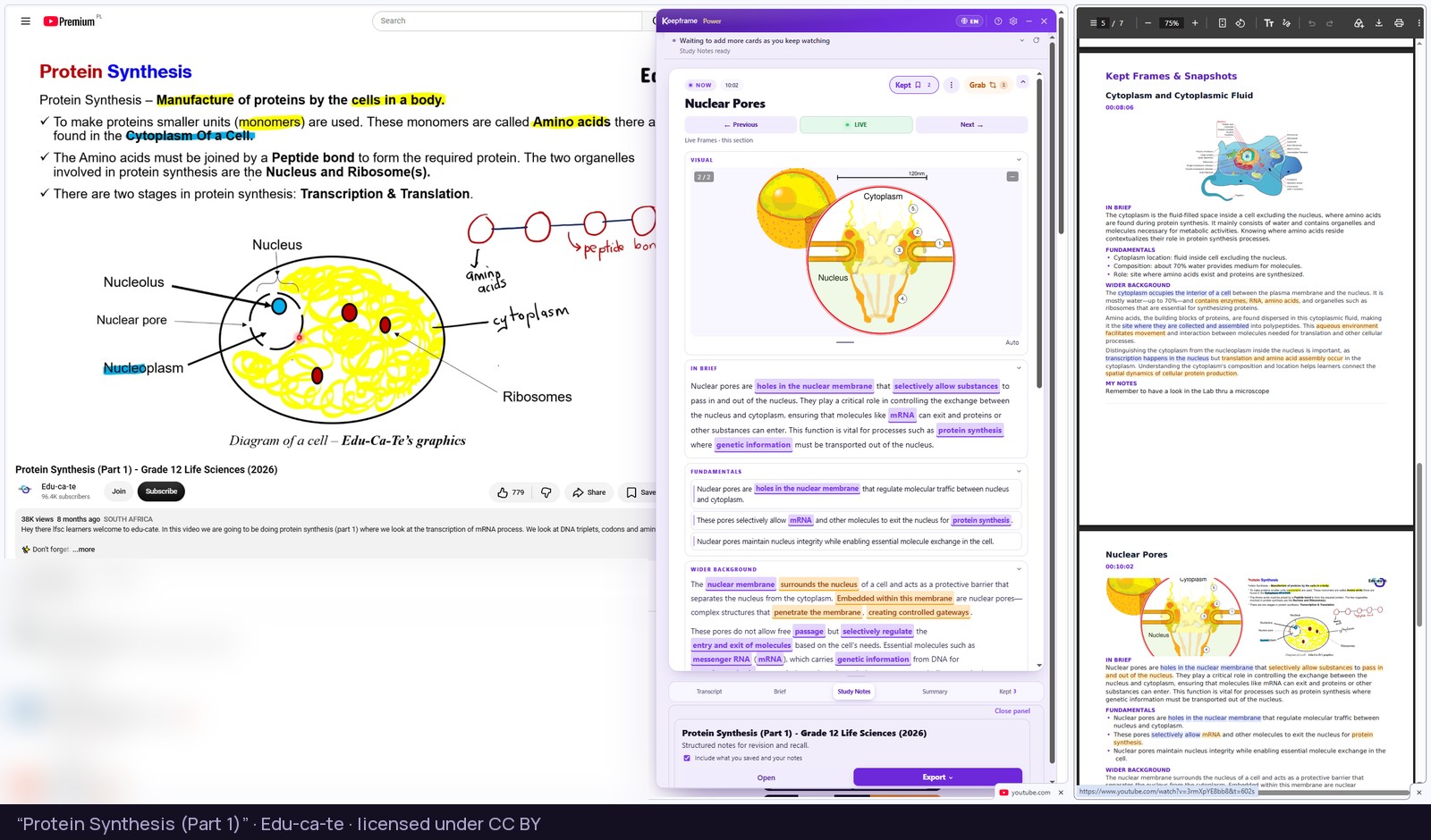 A biology lesson with the Keepframe panel open on Study Notes, and the exported notes with the saved Kept Frames open beside it